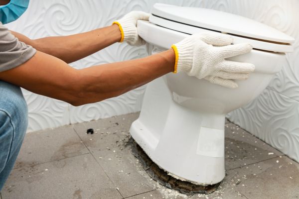 Toilet Removal